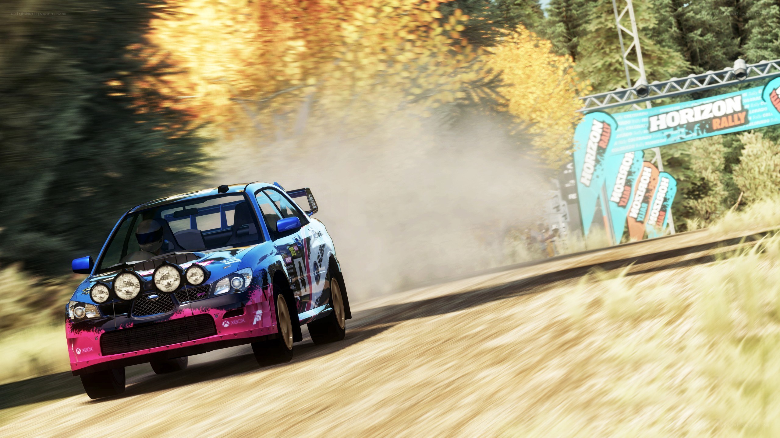 rally car on dirt track