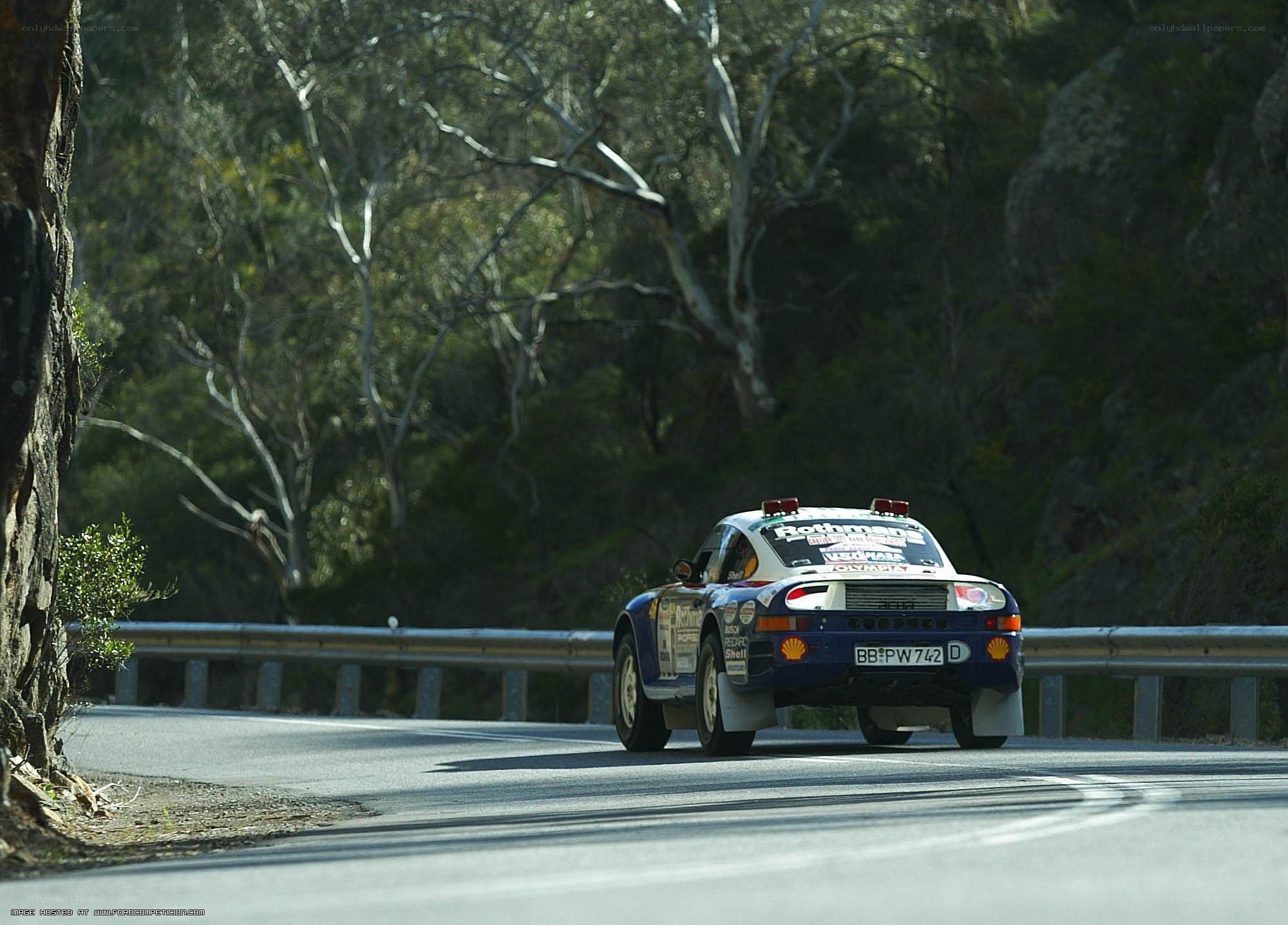 Rally car on forest road