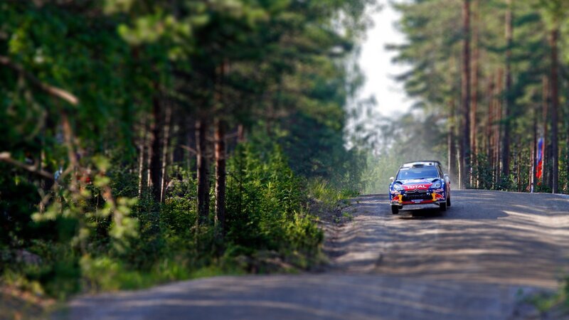 Rally Car on Forest Road — Green
