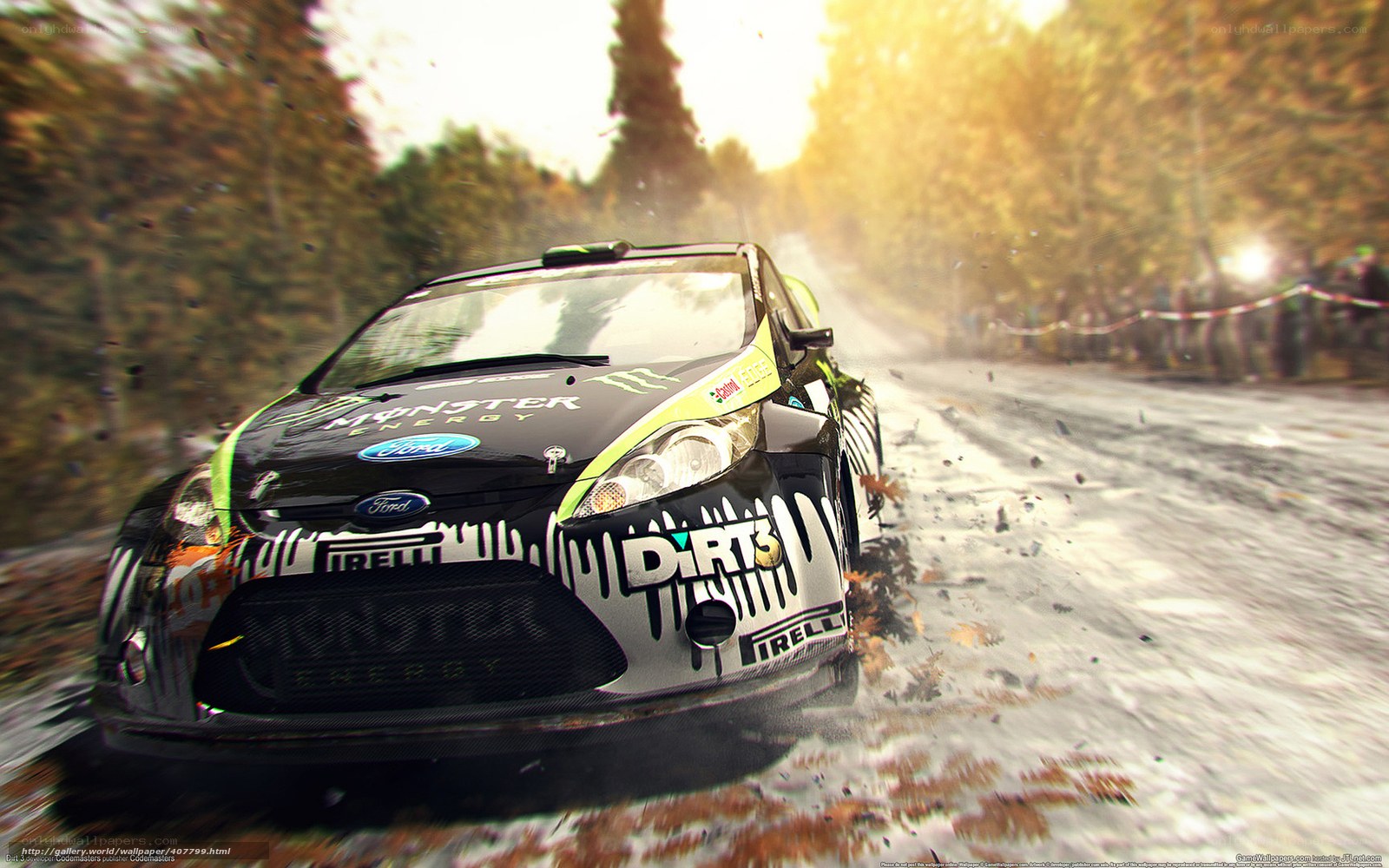 rally car on forest road
