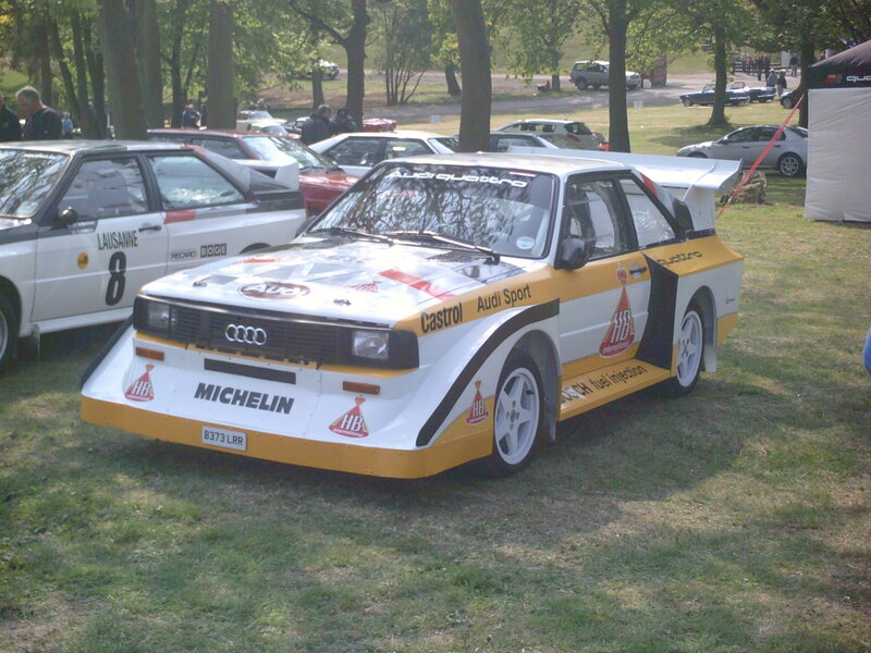 Rally Car on Grass