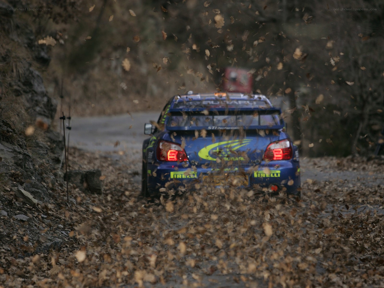 Rally car on leaf-covered road