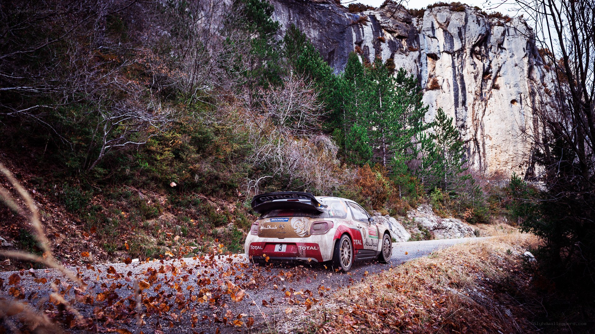 Rally car on mountain road