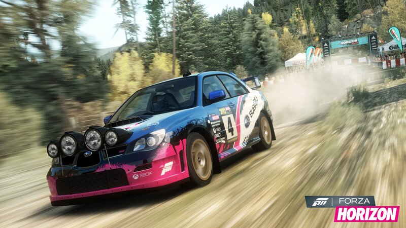rally car racing in forza horizon
