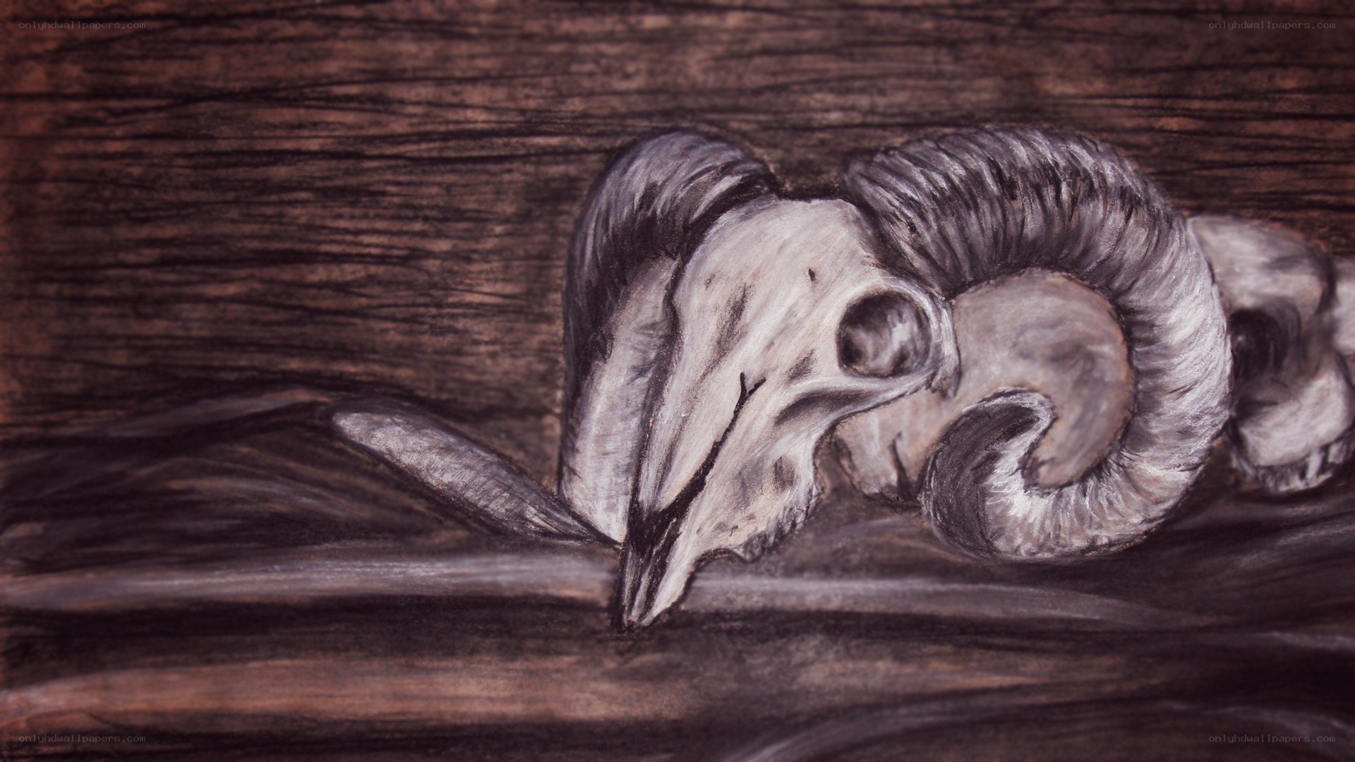 ram skull on wood