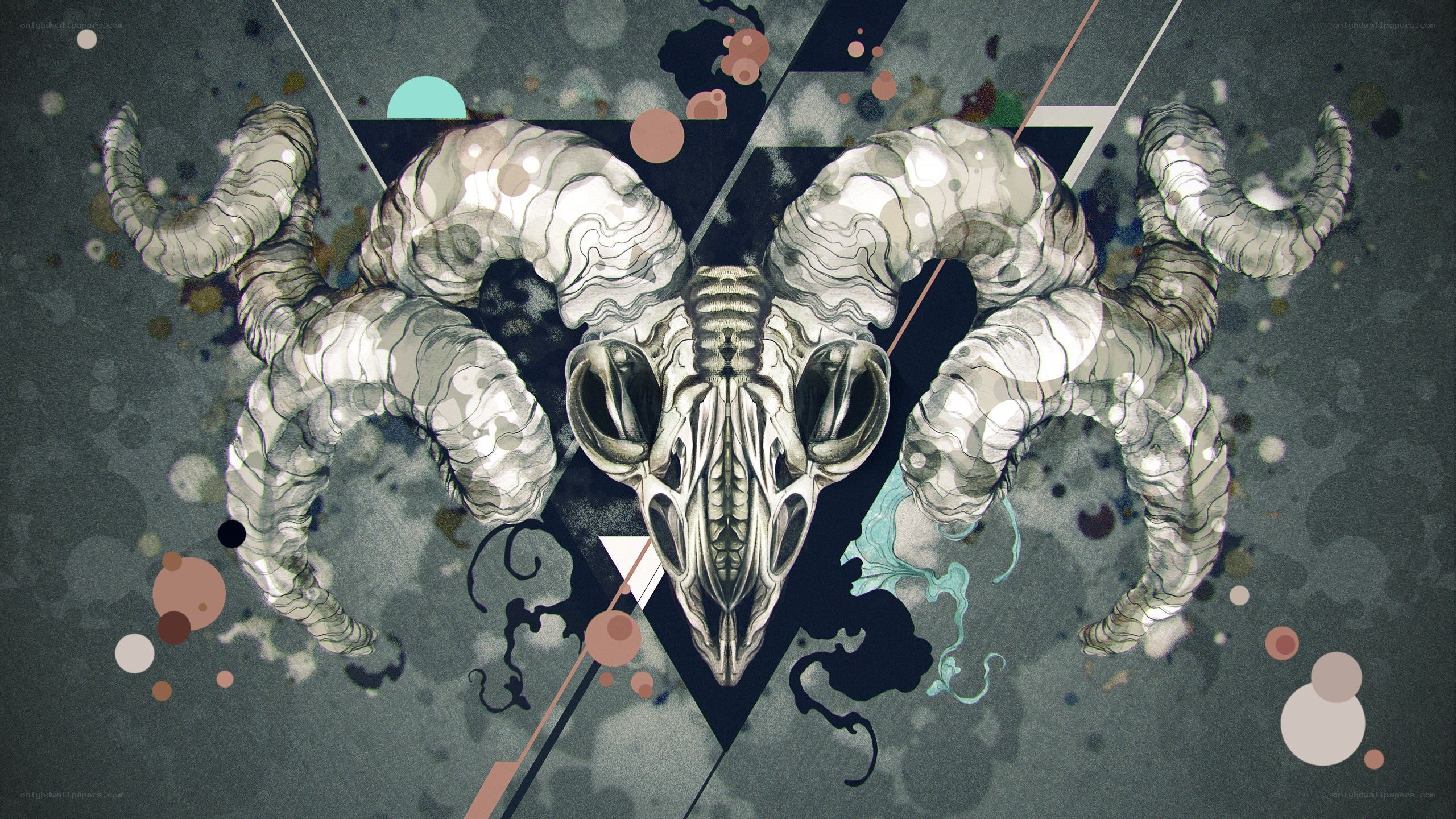 ram skull with abstract art
