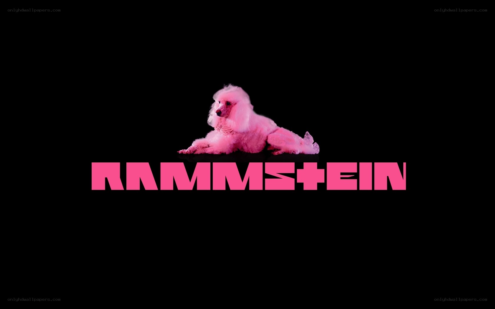 Rammstein logo with pink poodle