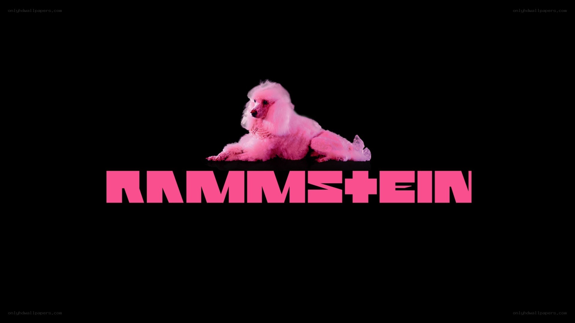 Rammstein logo with pink poodle