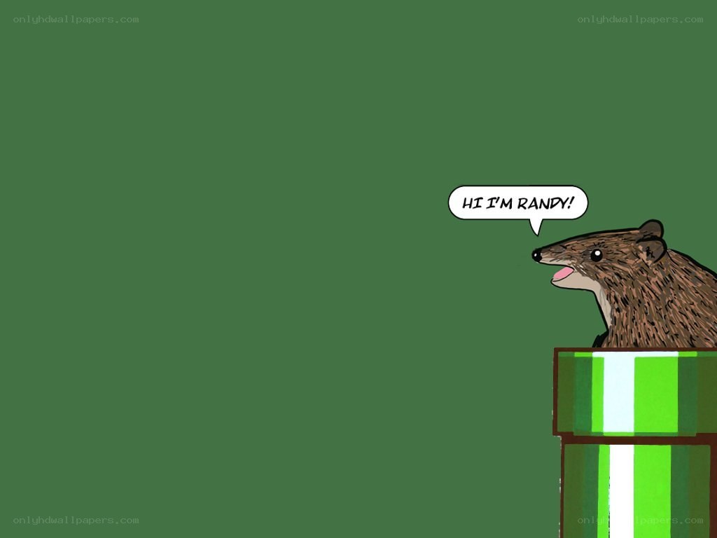 Randy the animal character