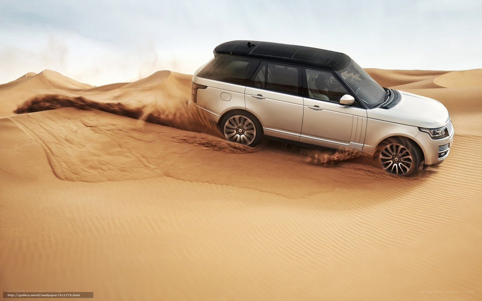 Range Rover in desert dunes