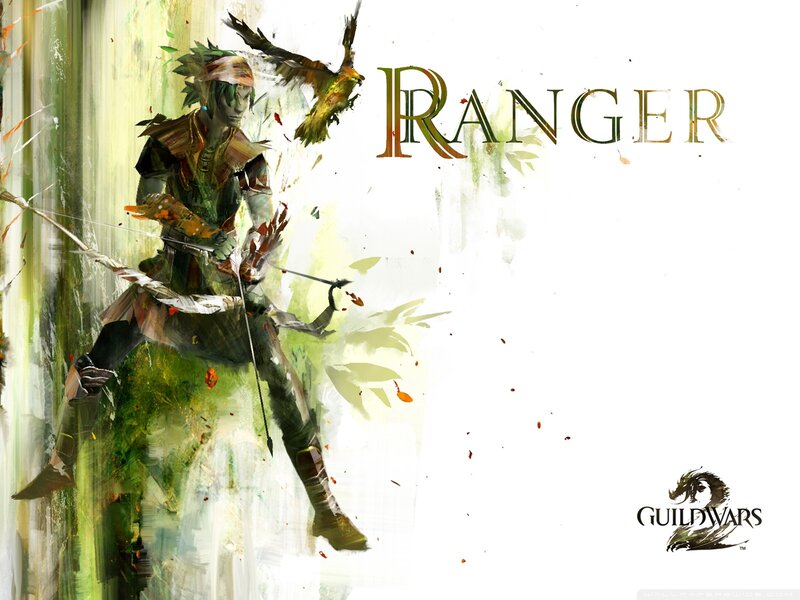 Ranger Archer in Forest