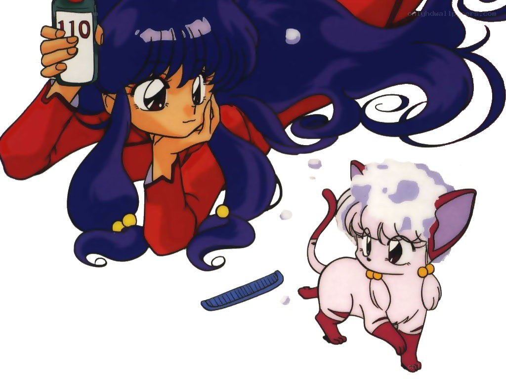 Ranma and Mousse in a comedic scene