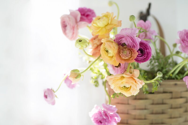 Ranunculus Flowers in Basket