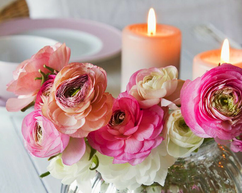 Ranunculus Flowers in Vase — Pink, Calm
