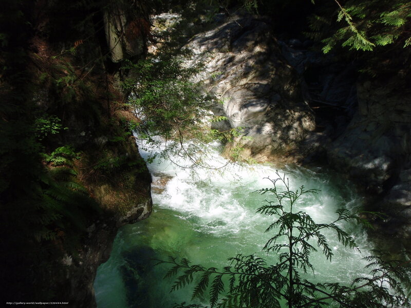 Rapid River in Forest Canyon