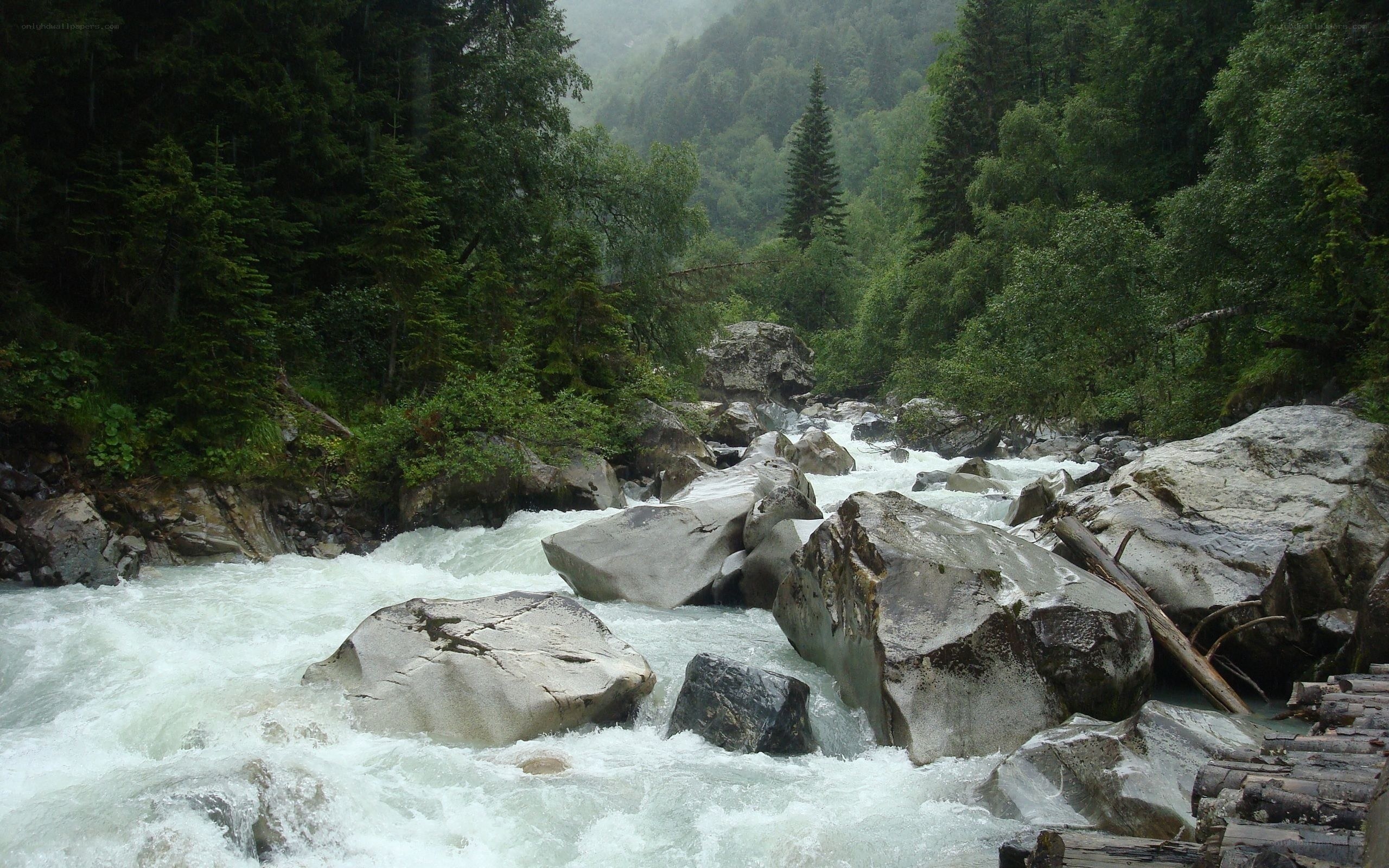 Rapid river in forested valley