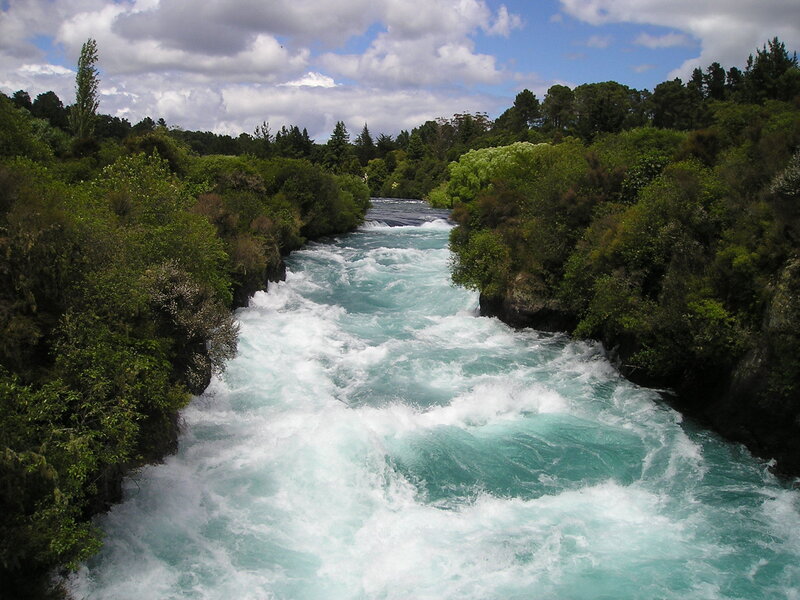 Rapid river through forest