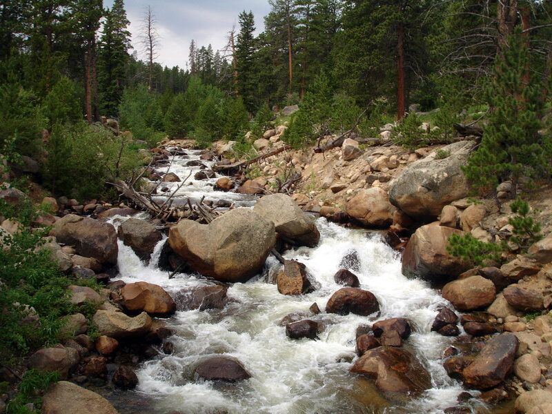 Rapid stream in forested mountains