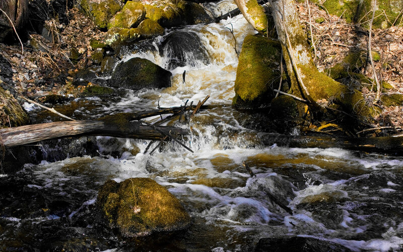 Rapid stream over mossy rocks