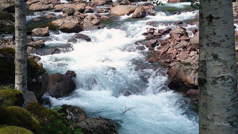 Rapid stream through rocky forest