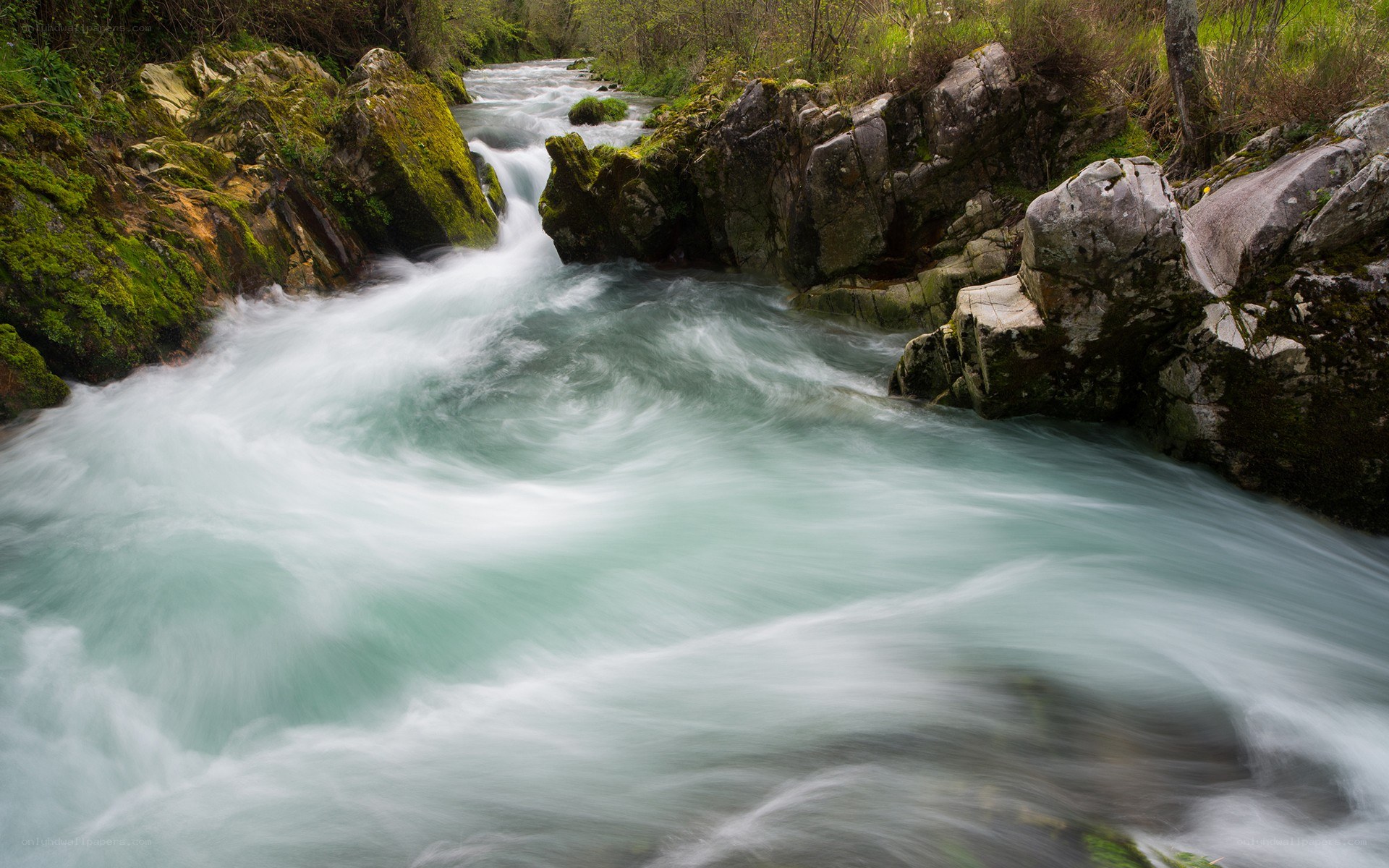 Rapid stream through rocky gorge