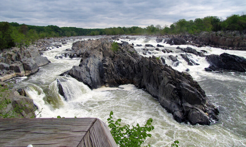 rapids at great falls