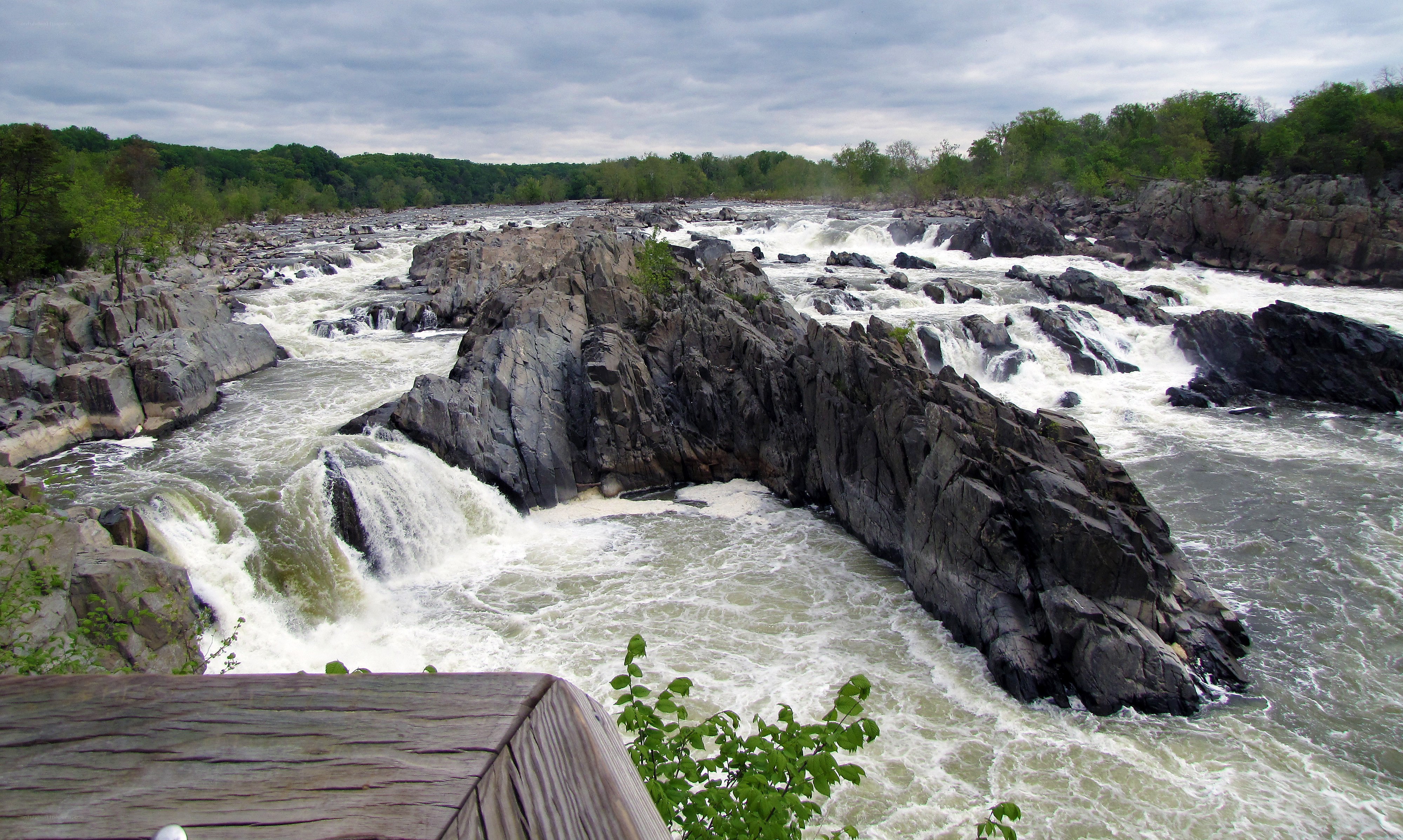 rapids at great falls
