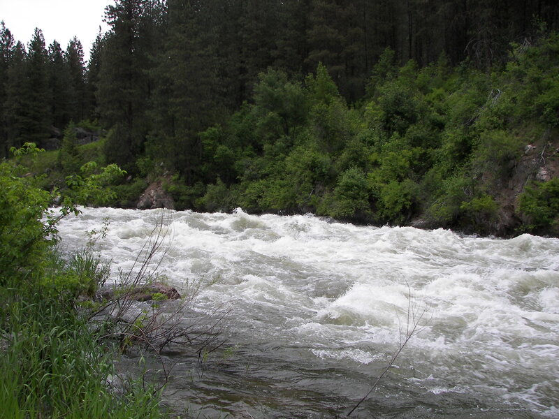 Rapids in Forest River
