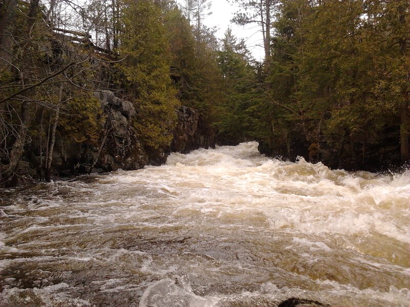 Rapids in Forested Canyon