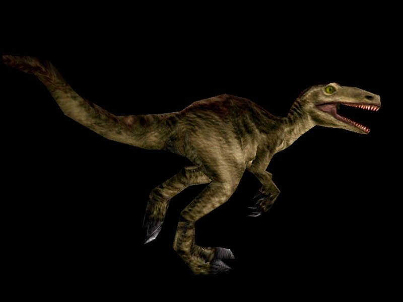 Raptor Dinosaur — Brown, Aggressive, 3d Render