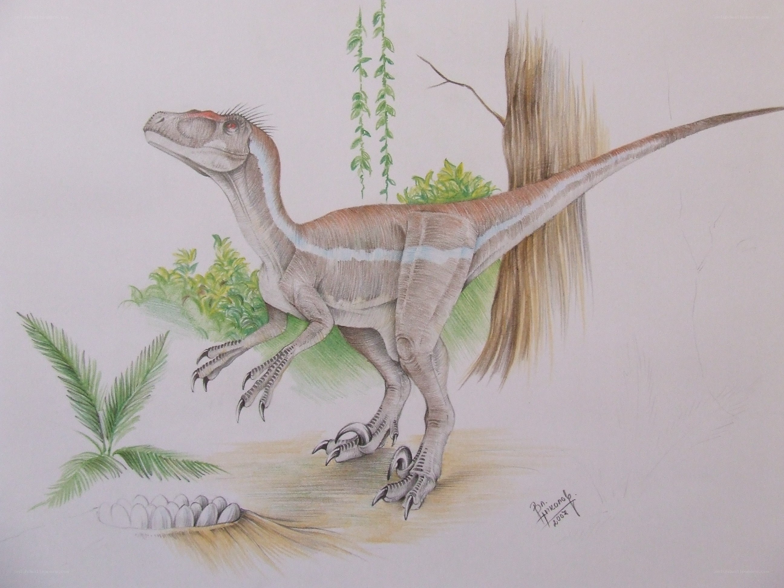 raptor dinosaur illustration