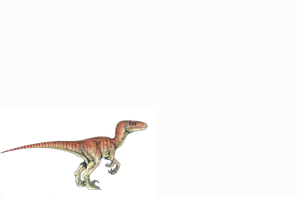 raptor dinosaur illustration