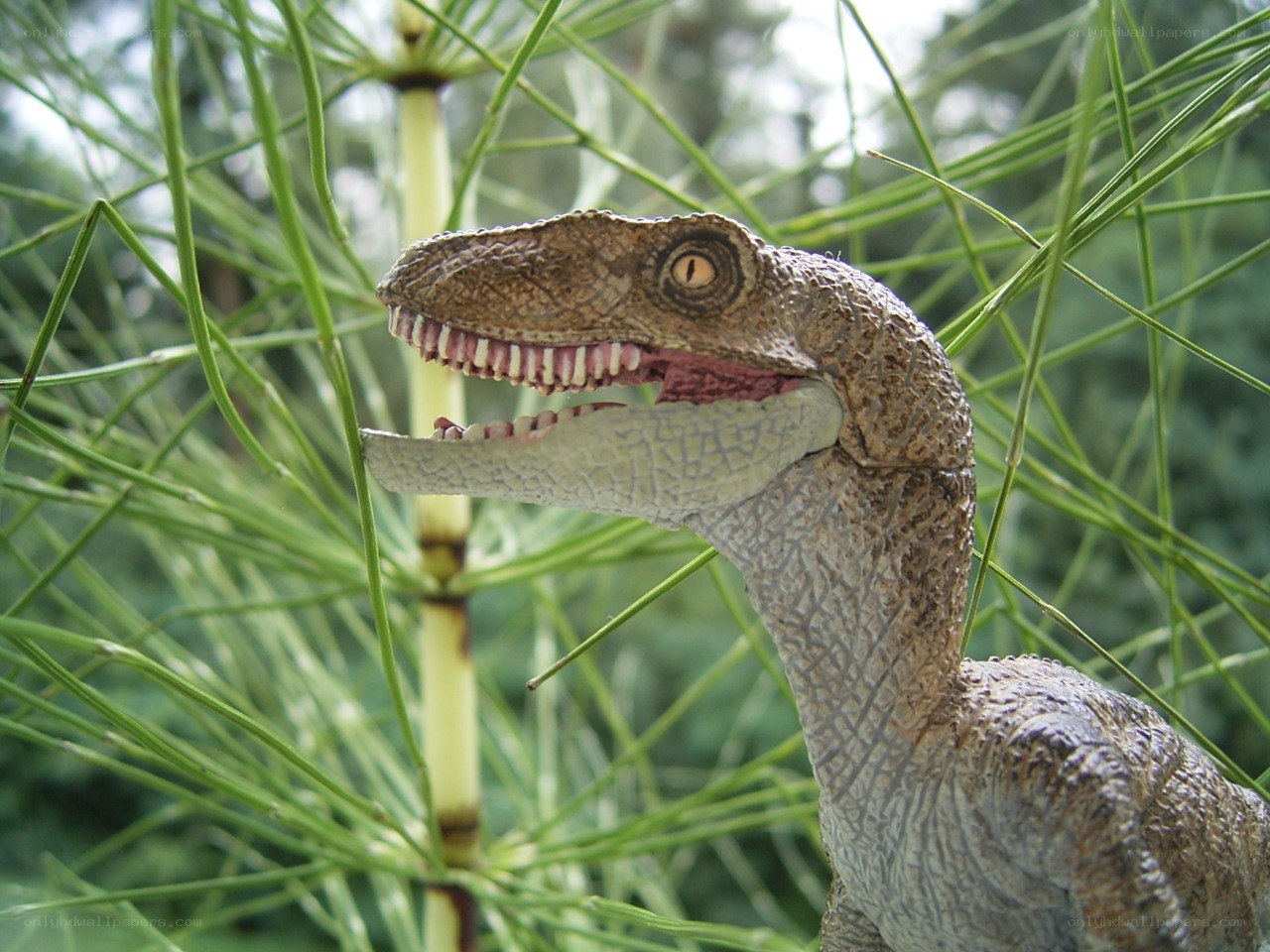 raptor figurine in plants