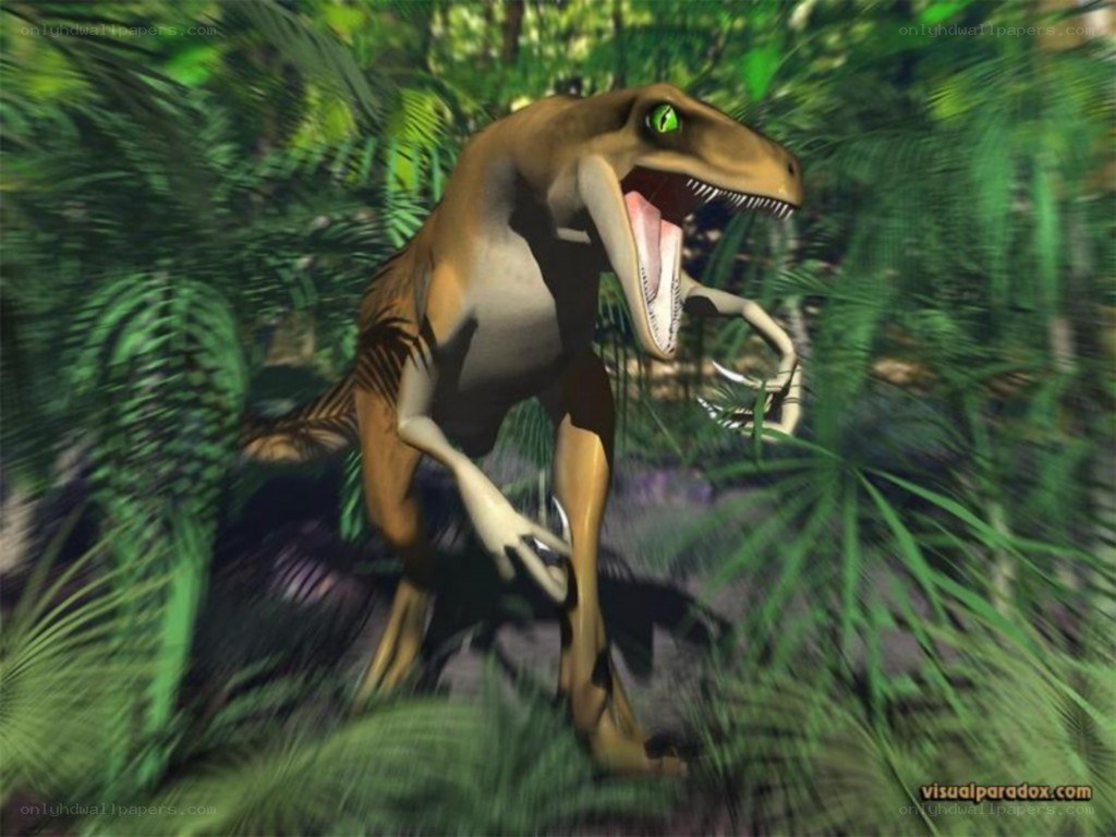 Raptor in jungle