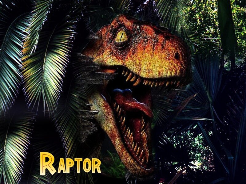 Raptor in jungle