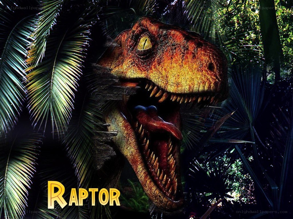 Raptor in jungle