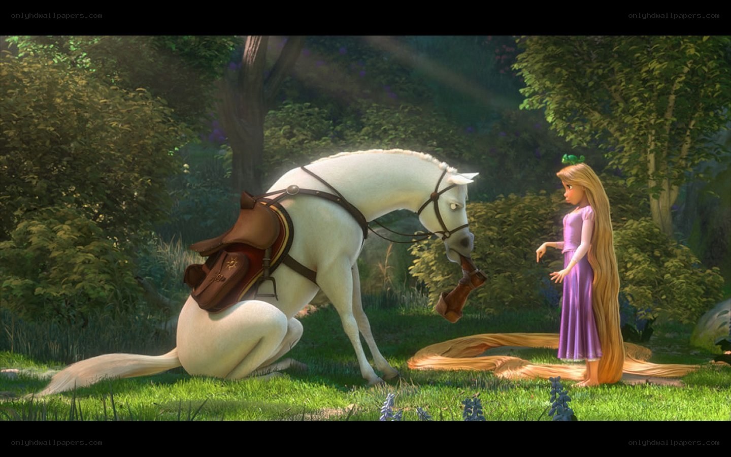 Rapunzel and her horse