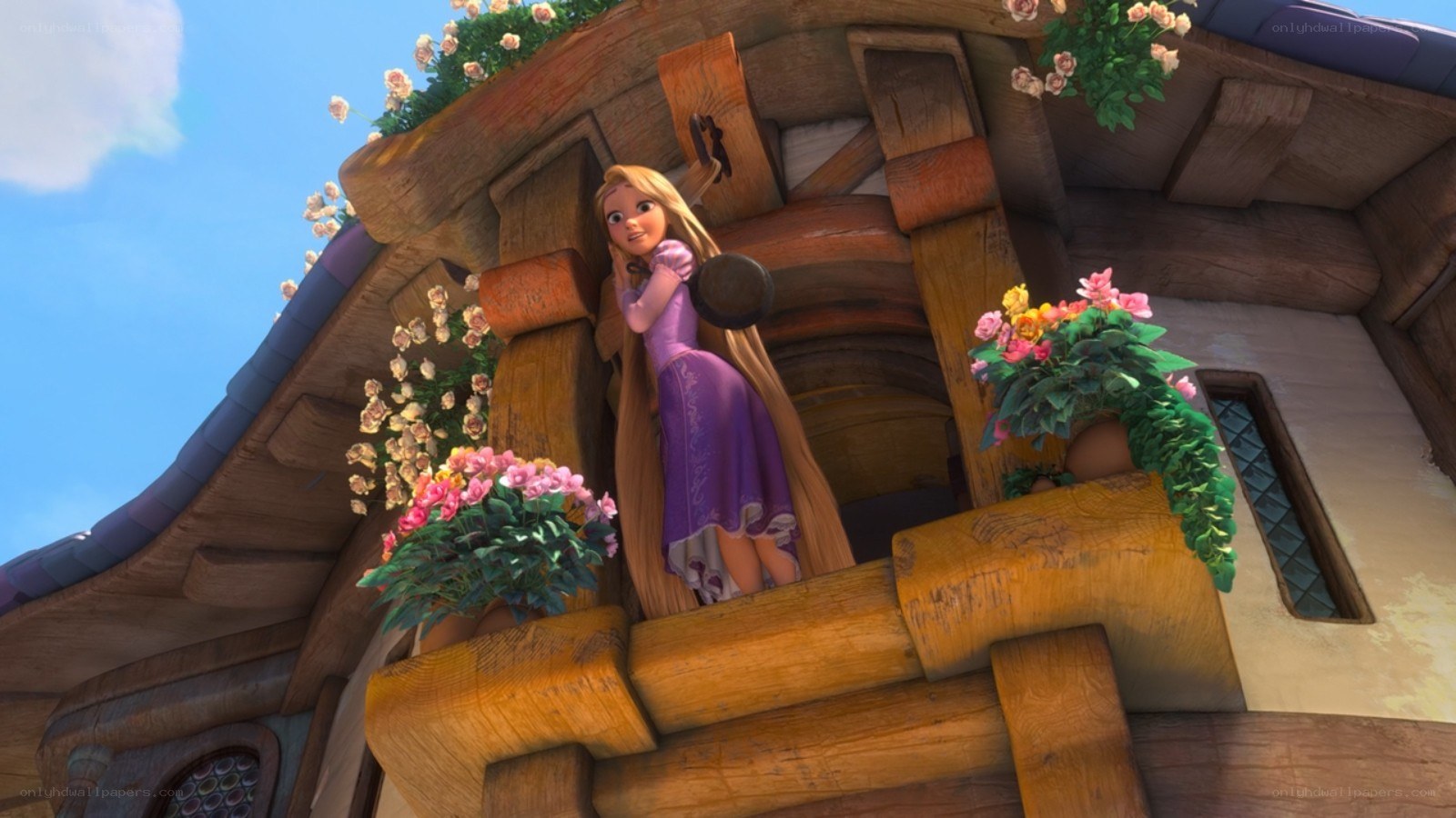 Rapunzel at her tower window