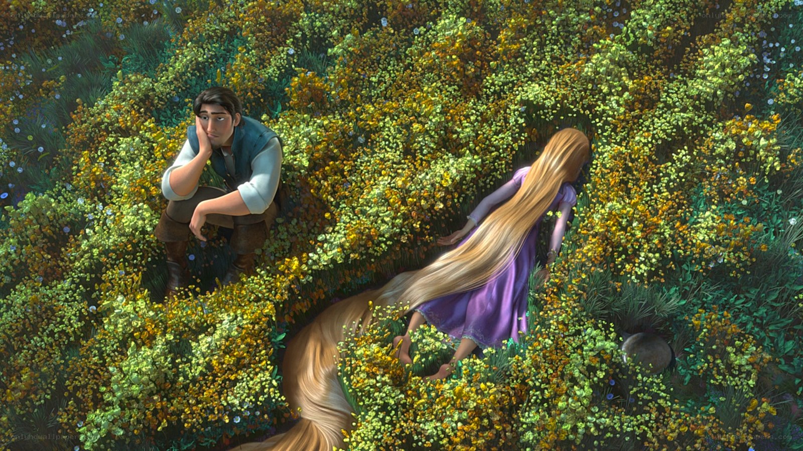 Rapunzel in the flower field