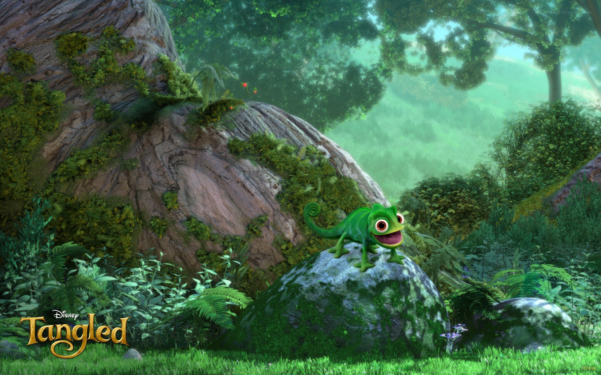 Rapunzel's chameleon in the forest