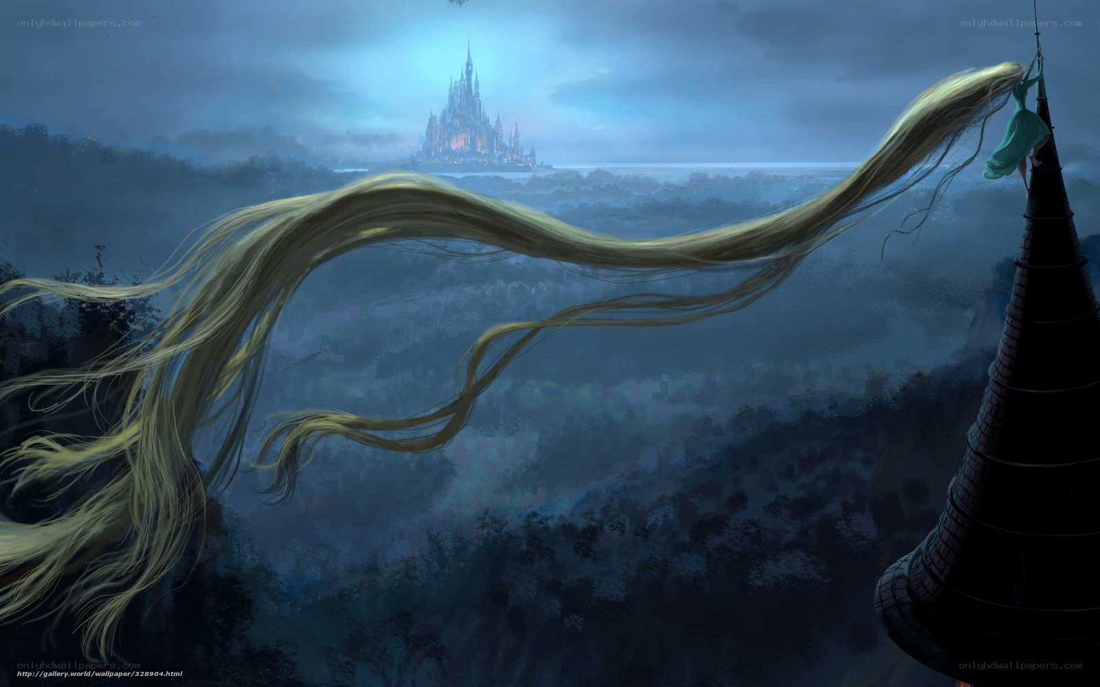 Rapunzel's long hair