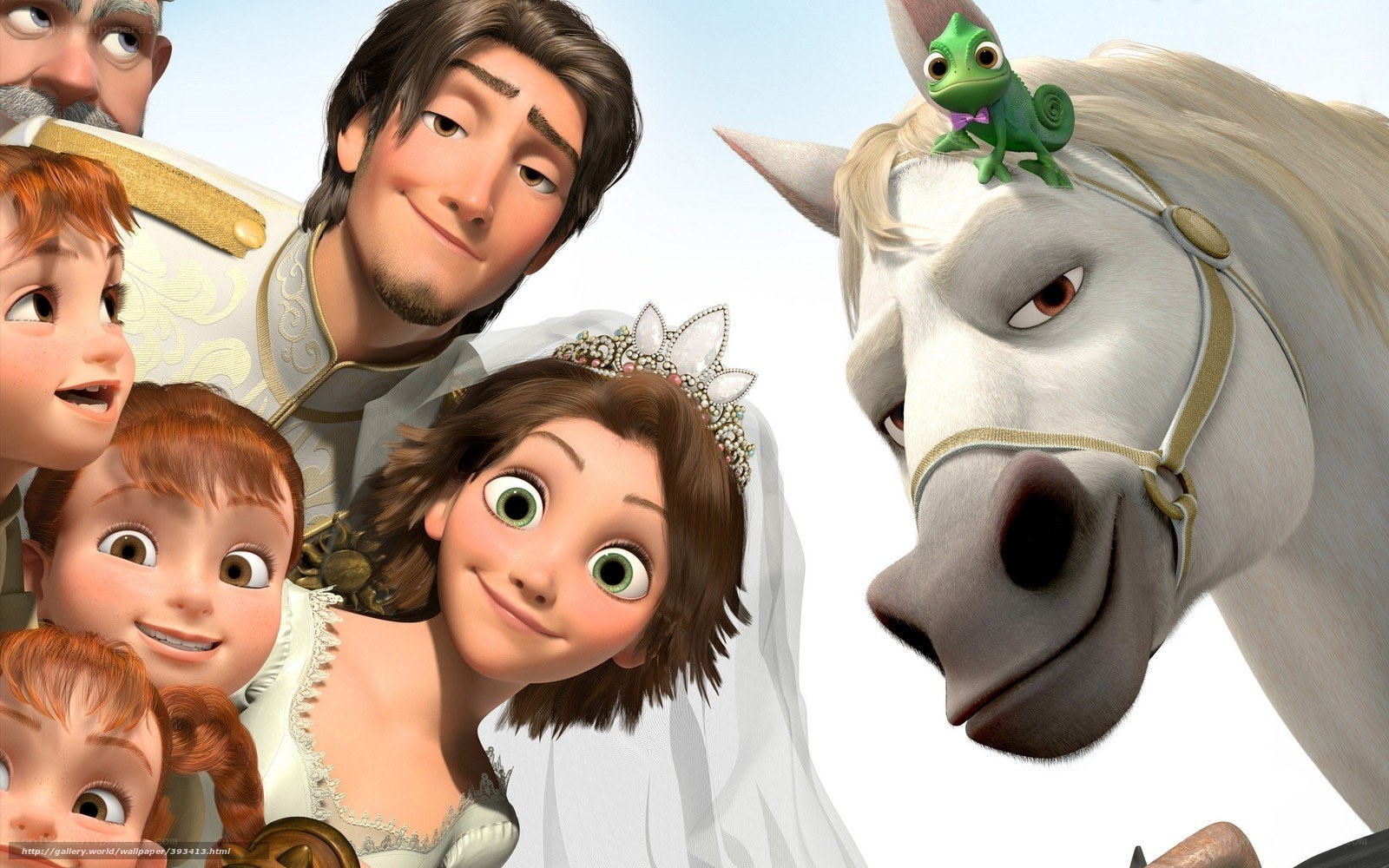 Rapunzel's wedding day