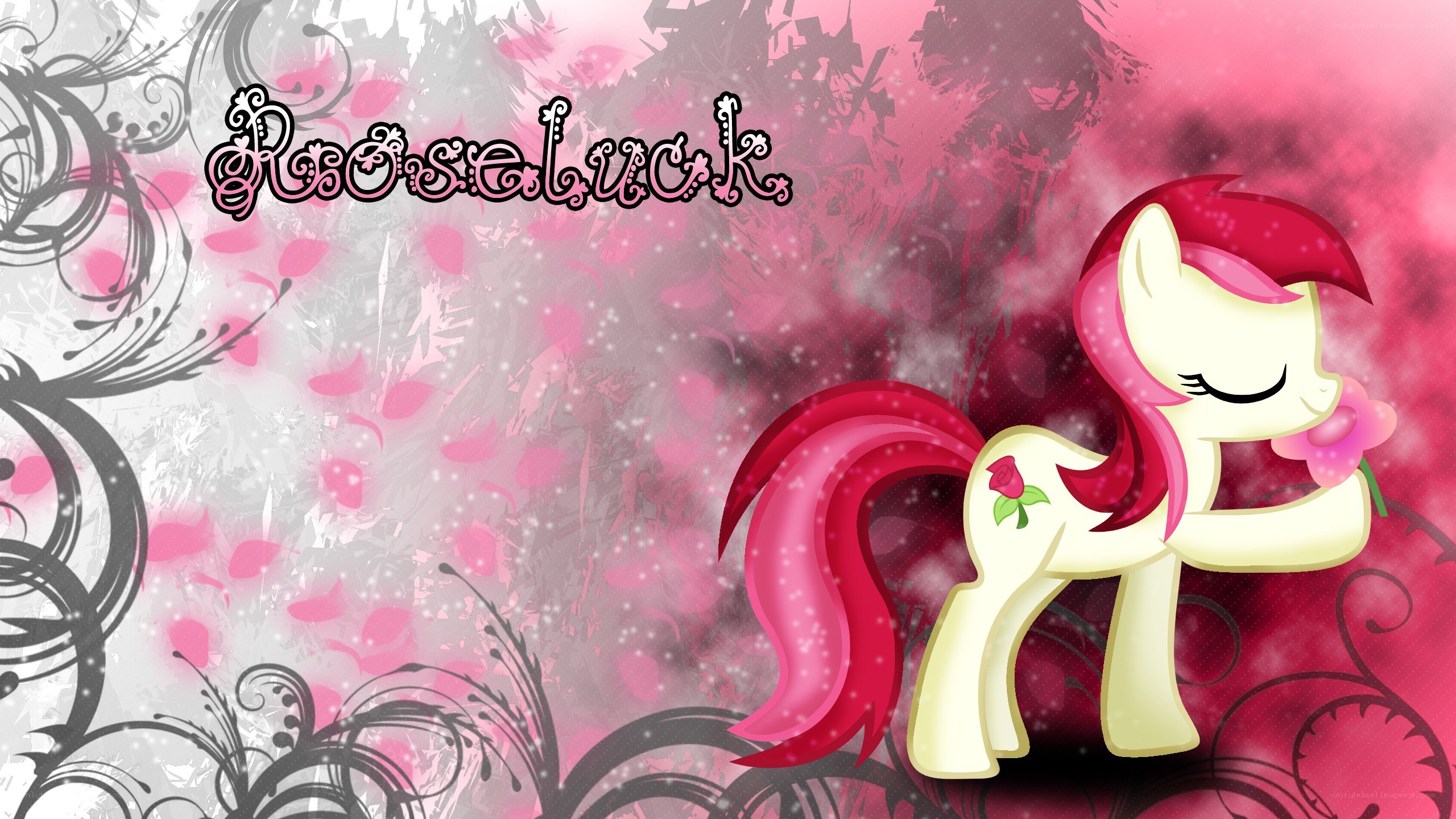 Rarity holding a rose
