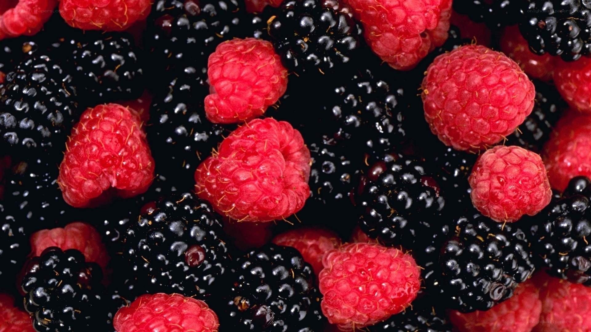 raspberries and blackberries