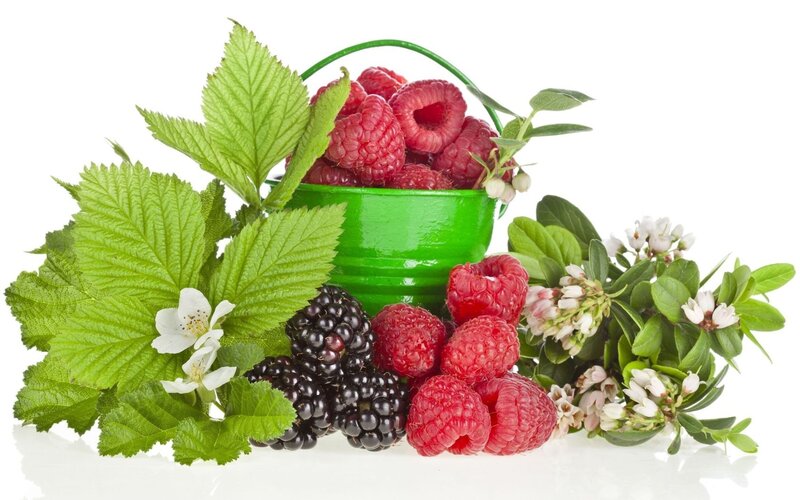 Raspberries and Blackberries — Green, Fresh, Photograph