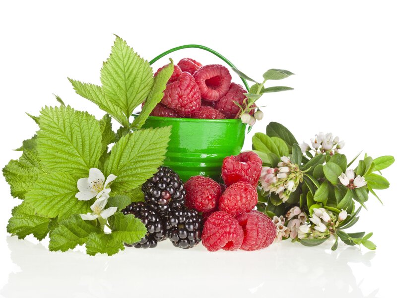 Raspberries and Blackberries — Green, Fresh