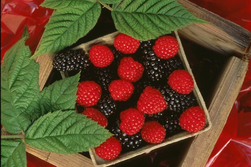 Raspberries and Blackberries — Red, Fresh