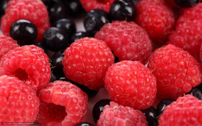 Raspberries and Blueberries — Red, Fresh