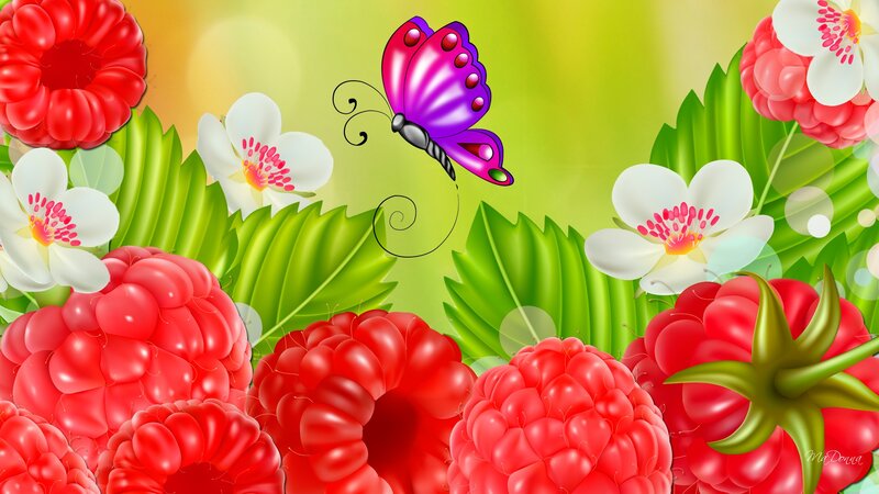 Raspberries and Butterfly
