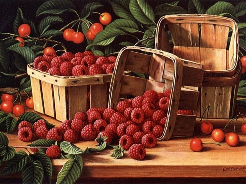 Raspberries and Cherries — Red, Still Life